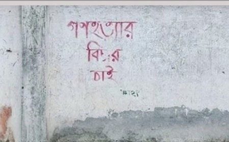 প্রধানমন্ত্রীর আগমনকে কেন্দ্র করে জুলাই গ্রাফিতি মুছে ফেলার অভিযোগ