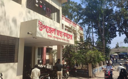 লামায় বন্য হাতি মারার বৈদ্যুতিক ফাঁদে পড়ে নারীর মৃত্যু