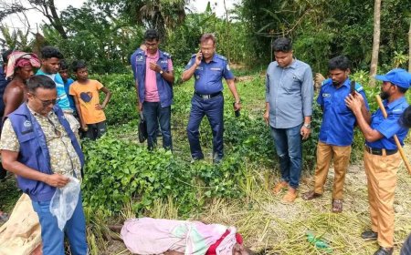 বরগুনার আমতলীতে ধানক্ষেত থেকে অজ্ঞাত নারীর ম.রদেহ উদ্ধার