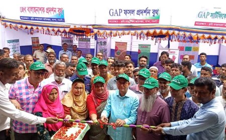 মান্দায় পার্টনার প্রকল্পের আওতায়  ‘পার্টনার কংগ্রেস’ অনুষ্ঠিত