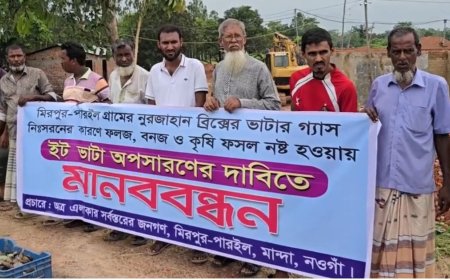 মান্দায় ইটভাটার বিষাক্ত ধোঁয়ায় পুড়ছে ফসল, অপসারণ দাবিতে মানববন্ধন