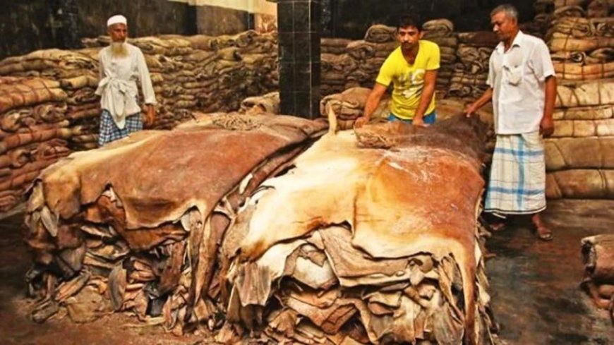 দেশে কোরবানির পশুর চামড়ার দাম নির্ধারণ