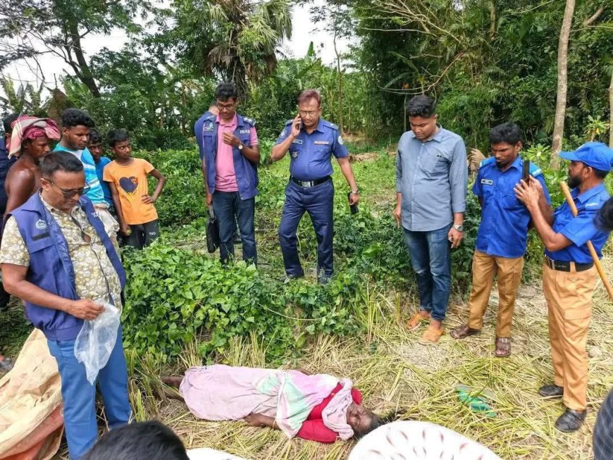 বরগুনার আমতলীতে ধানক্ষেত থেকে অজ্ঞাত নারীর ম.রদেহ উদ্ধার