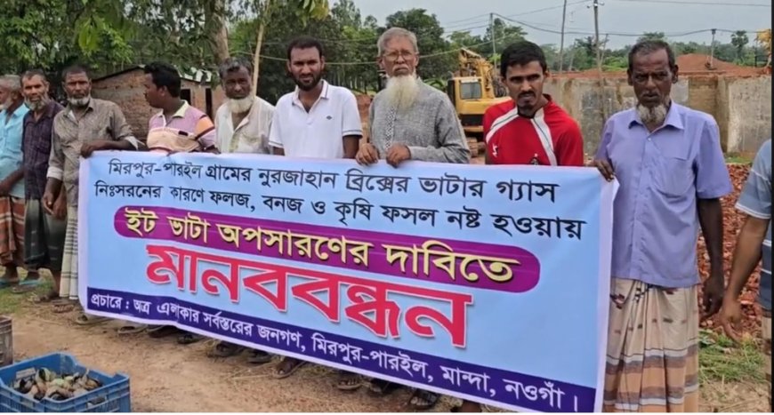 মান্দায় ইটভাটার বিষাক্ত ধোঁয়ায় পুড়ছে ফসল, অপসারণ দাবিতে মানববন্ধন