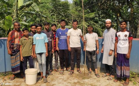 রতনকান্দিতে ‘Nur Express’ ও ‘প্রয়োজনে আলোকবর্তিকা’র যৌথ উদ্যোগে বৃক্ষরোপণ ও বিনামূল্যে চারা বিতরণ