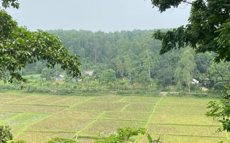 অবকাশে প্রকৃতির অপরূপ সৌন্দর্য, সীমান্তঘেঁষা পাহাড়ে মুগ্ধ পর্যটকরা 