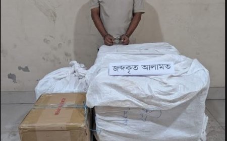 বন্দরে চাঞ্চল্যকর চুরি: ১৫ লাখ টাকার মোবাইল ডিসপ্লে উদ্ধার, গ্রেফতার ১