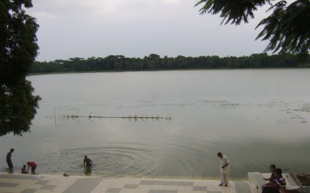 খানজাহান আলী দীঘির কুমির ফিরিয়ে দেওয়ার দাবি