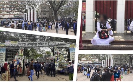 ক্লাস ফাঁকি দিয়ে শিক্ষার্থীদের আড্ডায় পরিপূর্ণ নারায়ণগঞ্জ কেন্দ্রীয় শহিদ মিনার