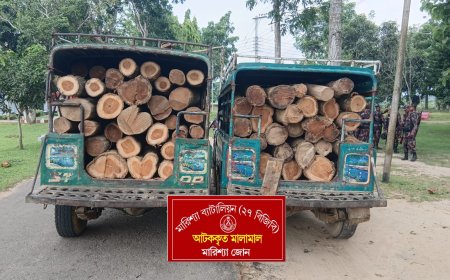 বাঘাইছড়িতে বিজিবির অভিযানে অবৈধ সেগুন কাঠসহ দুই জীপ আটক