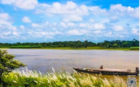 প্রিয়তোষ রায়ের লেখা কবিতা : আমার এই বাংলাদেশ
