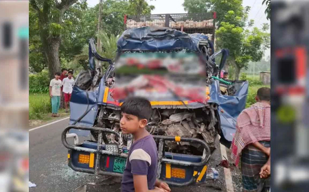 দাঁড়িয়ে থাকা ট্রাকে পিকআপের ধাক্কায় নিহত ৪