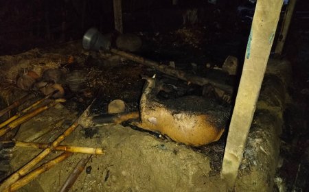 ঠাকুরগাঁওয়ের ভূল্লীতে ভয়াবহ অগ্নিকাণ্ডে নিঃস্ব কৈলাসের পরিবার 