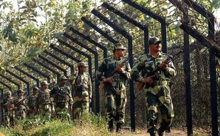 পাগল সন্দেহে বিএসএফের কাছে আটক বাংলাদেশি যুবক 
