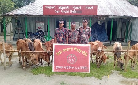 কুড়িগ্রাম সীমান্তে সাড়ে ৮ লাখ টাকার চোরাচালান পণ্য জব্দ 