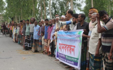 জলাবদ্ধতায় অনাবাদি হাজারো বিঘা জমি, সমাধান চান মান্দার কৃষকেরা
