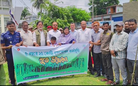 প্রকৃতির ভারসাম্য রক্ষায় বাঘাইছড়িতে বৃক্ষরোপণ কর্মসূচি