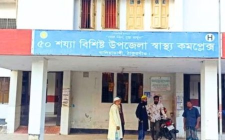 বালিয়াডাঙ্গীতে বালতির পানিতে ডুবে ৯ মাসের শিশুর মৃত্যু