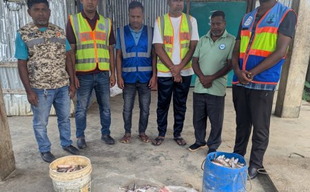 বাঘাইছড়িতে নিষিদ্ধ সময়ে আহরিত ৪৬ কেজি মাছ জব্দ,  নিলামে বিক্রি