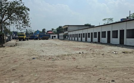 কালকিনিতে নতুন বাস টার্মিনাল শিগগিরই উদ্বোধন