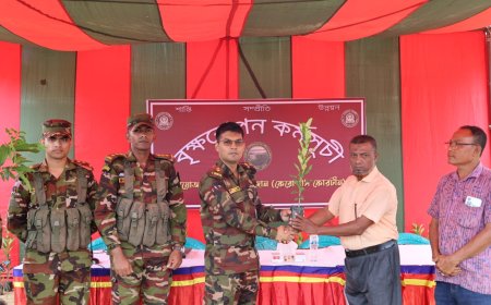 সবুজ পাহাড় গড়ার লক্ষ্যে বাঘাইহাট জোনের বছরব্যাপী বৃক্ষরোপণ অভিযান