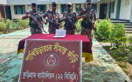 কুড়িগ্রাম সীমান্তে বিজিবির সাঁড়াশি অভিযান, আটক গবাদিপশুসহ নানা চোরাচালানি পণ্য