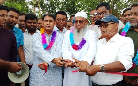 নওগাঁর মান্দায় সড়ক পাকাকরণ শুরু 