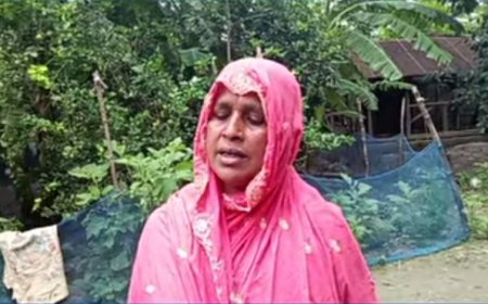 মোল্লাহাটে গাছপালা কর্তন ও নারীকে হেনস্তার অভিযোগ, থানায় লিখিত আবেদন