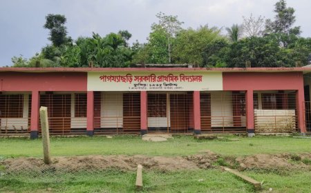 অনলাইন হাজিরার পর আলোচনায় পাগয্যাছড়ি বিদ্যালয়, উঠল আগাম ছুটির অভিযোগ