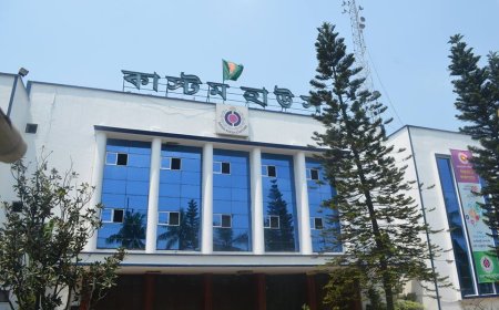 বন্দরে জট কমাতে চট্টগ্রাম কাস্টমসের উদ্যোগ: অনলাইন নিলামে ৩৭ লট পণ্য।