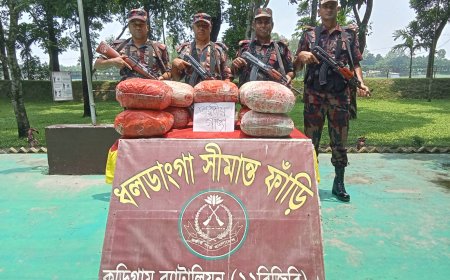 কুড়িগ্রামে সীমান্তে এক মনের অধিক ভারতীয় গাঁজা জব্দ