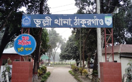 ঠাকুরগাঁওয়ে ঋণের চাপে বিষপানে এক ব্যক্তির মৃত্যু