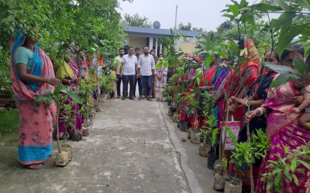 ‎চিতলমারীতে কোডেকের উদ্যোগে ১৩০ সদস্যের মাঝে ফলজ গাছের চারা বিতরণ
