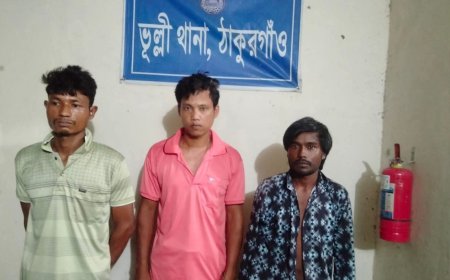 ভূল্লীতে ৭ পিস ট্যাপেন্ডাডল ট্যাবলেটসহ আটক ৩