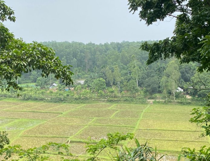অবকাশে প্রকৃতির অপরূপ সৌন্দর্য, সীমান্তঘেঁষা পাহাড়ে মুগ্ধ পর্যটকরা 