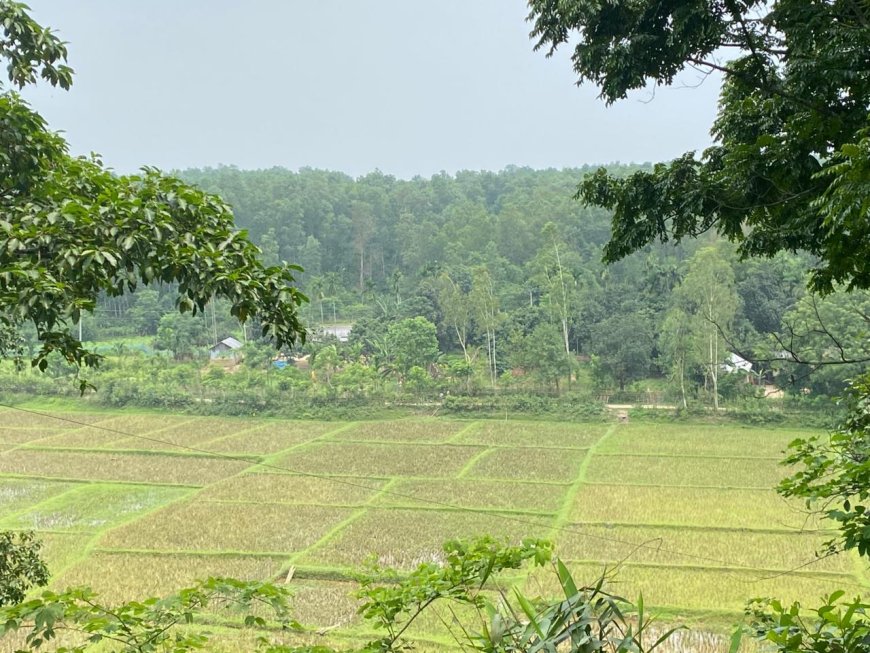 অবকাশে প্রকৃতির অপরূপ সৌন্দর্য, সীমান্তঘেঁষা পাহাড়ে মুগ্ধ পর্যটকরা 
