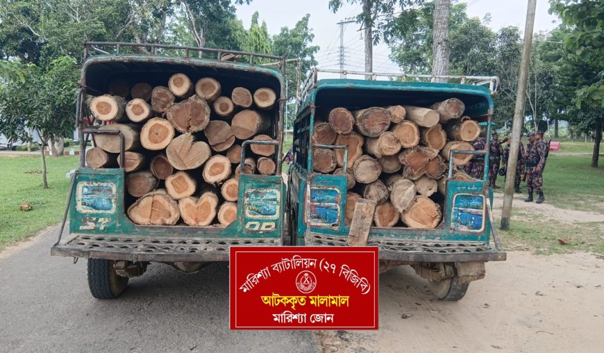 বাঘাইছড়িতে বিজিবির অভিযানে অবৈধ সেগুন কাঠসহ দুই জীপ আটক