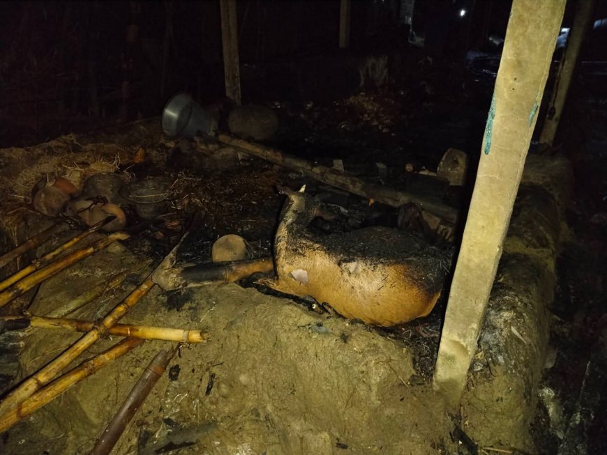 ঠাকুরগাঁওয়ের ভূল্লীতে ভয়াবহ অগ্নিকাণ্ডে নিঃস্ব কৈলাসের পরিবার 