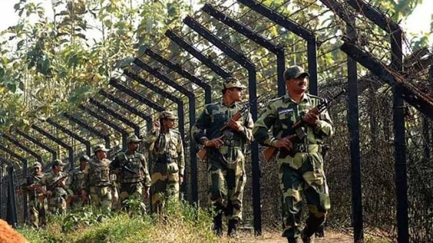 পাগল সন্দেহে বিএসএফের কাছে আটক বাংলাদেশি যুবক 