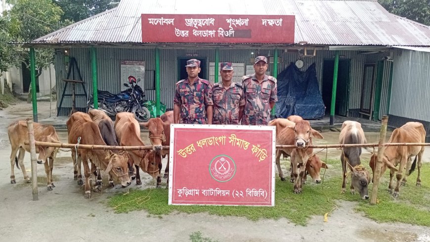 কুড়িগ্রাম সীমান্তে সাড়ে ৮ লাখ টাকার চোরাচালান পণ্য জব্দ 