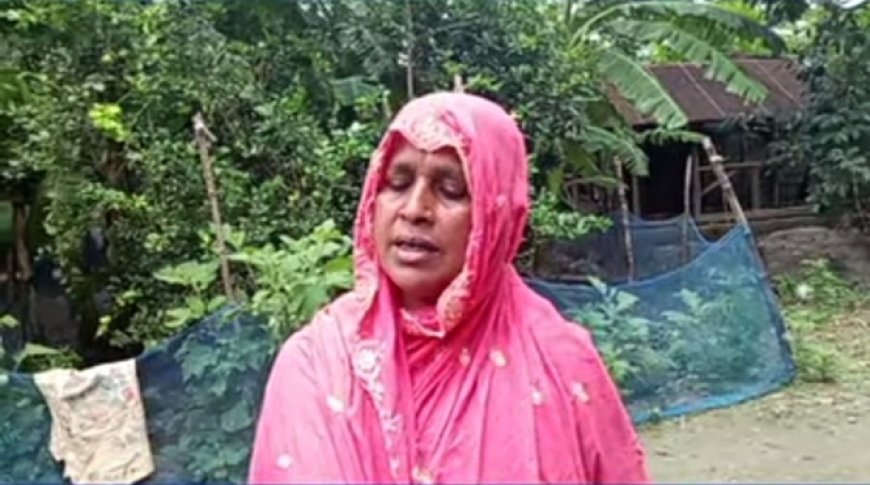মোল্লাহাটে গাছপালা কর্তন ও নারীকে হেনস্তার অভিযোগ, থানায় লিখিত আবেদন