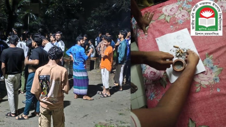 নজরুল বিশ্ববিদ্যালয়ে গাঁজা সেবনের অভিযোগে সিনিয়র-জুনিয়র সংঘর্ষ