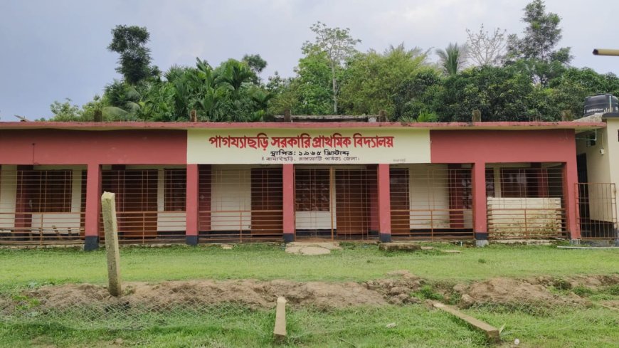 অনলাইন হাজিরার পর আলোচনায় পাগয্যাছড়ি বিদ্যালয়, উঠল আগাম ছুটির অভিযোগ
