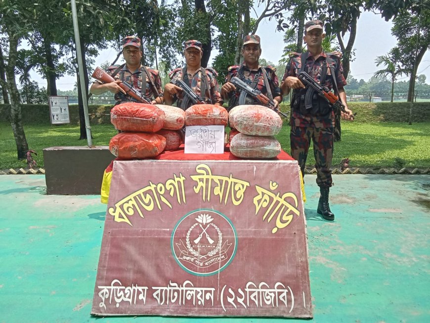 কুড়িগ্রামে সীমান্তে এক মনের অধিক ভারতীয় গাঁজা জব্দ
