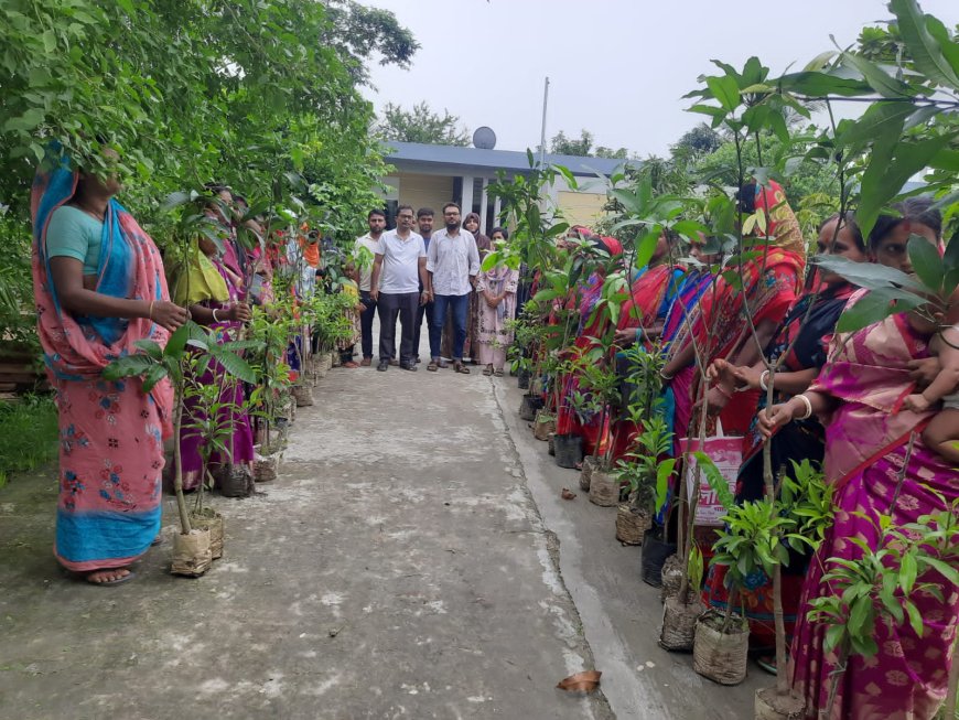 ‎চিতলমারীতে কোডেকের উদ্যোগে ১৩০ সদস্যের মাঝে ফলজ গাছের চারা বিতরণ