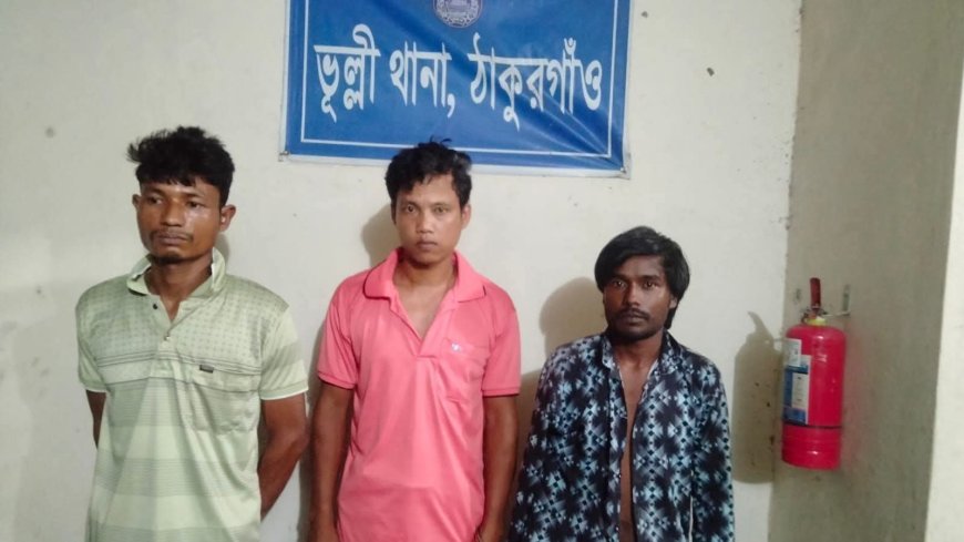 ভূল্লীতে ৭ পিস ট্যাপেন্ডাডল ট্যাবলেটসহ আটক ৩