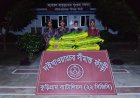 কুড়িগ্রামে বিজিবির পৃথক অভিযানে গাঁজা, ইয়াবা সহ ৩ চোরা কারবারি আটক