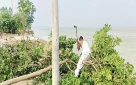 ব্রহ্মপুত্রের ভাঙনে মুহূর্তেই হারাল ২৫ পরিবারের ঠিকানা, আতঙ্কে তীরবর্তী মানুষ