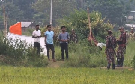 শূন্যরেখায় ১৭ দিনের মানবেতর জীবন, তারপর হঠাৎ উধাও বিএসএফের পুশইন করা তিন যুবক