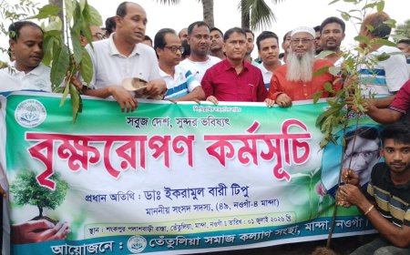 মান্দায় জয়পুর-শংকরপুর রাস্তা পাকাকরণ ও বৃক্ষরোপণ কর্মসূচির উদ্বোধন